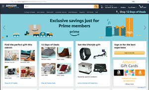 مثال على صفحة تصيد تنتحل هوية "أمازون"